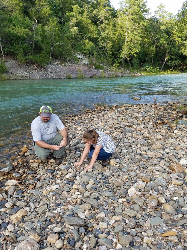 Last hurrah of Summer