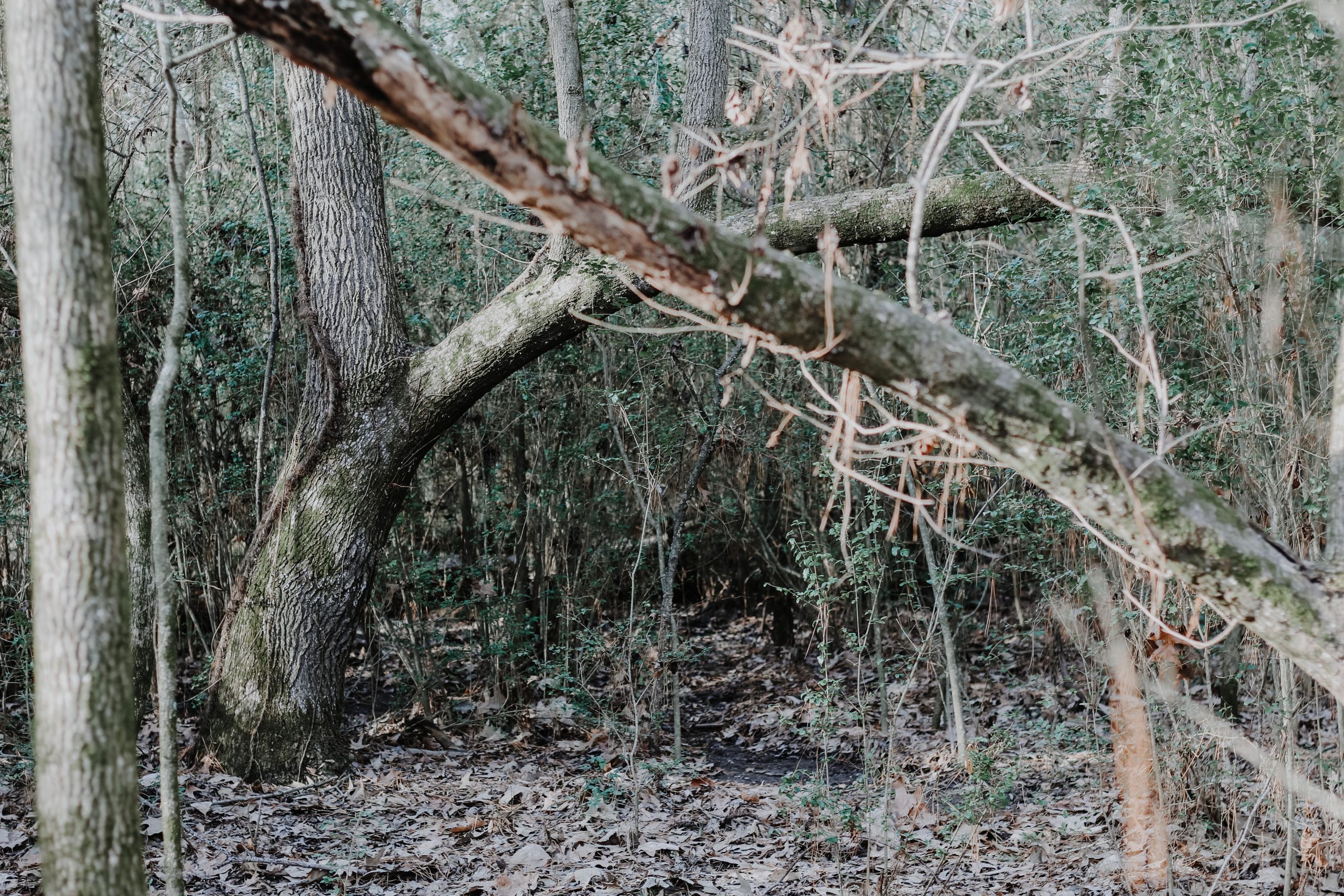 Door to another world