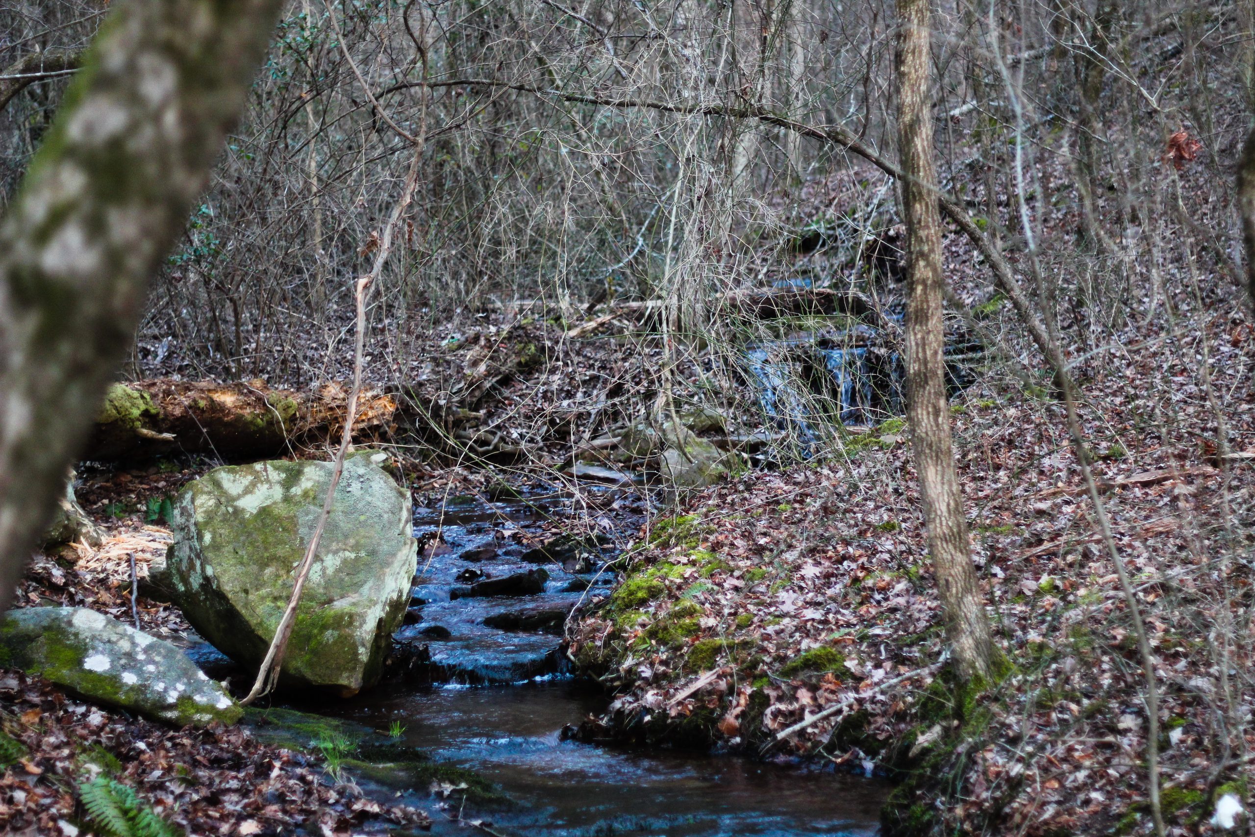 River in mountains