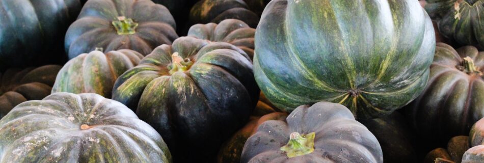 Green Pumpkins