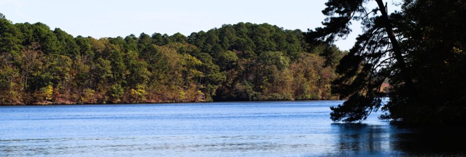 Lake Catherine in the Fall
