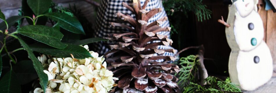 natural winter decor