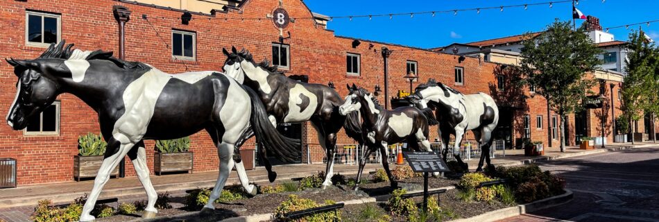 Trail of horses